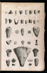 Tavolo